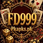 FD999 Game