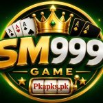 SM999 Game